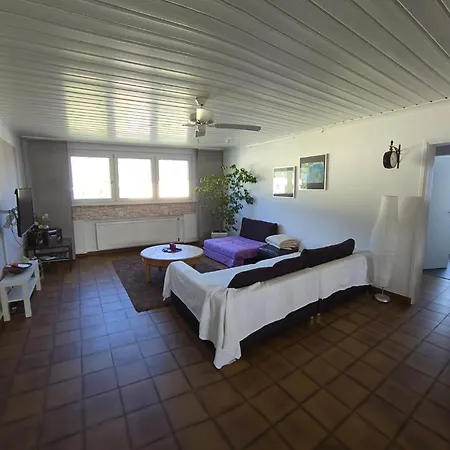 Apartment With Friends 2 *